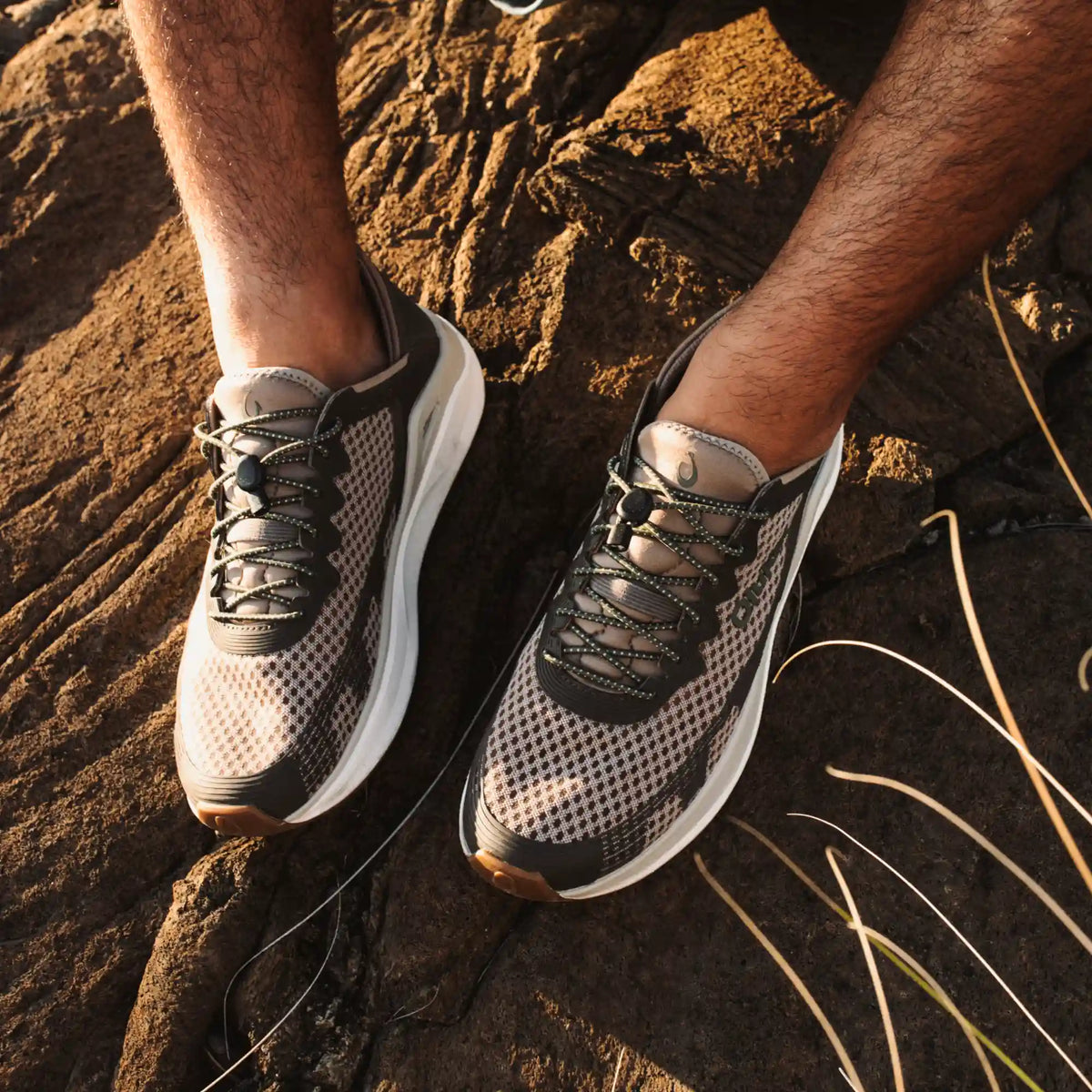 ʻAhi -  Taupe Grey / Brown Koa