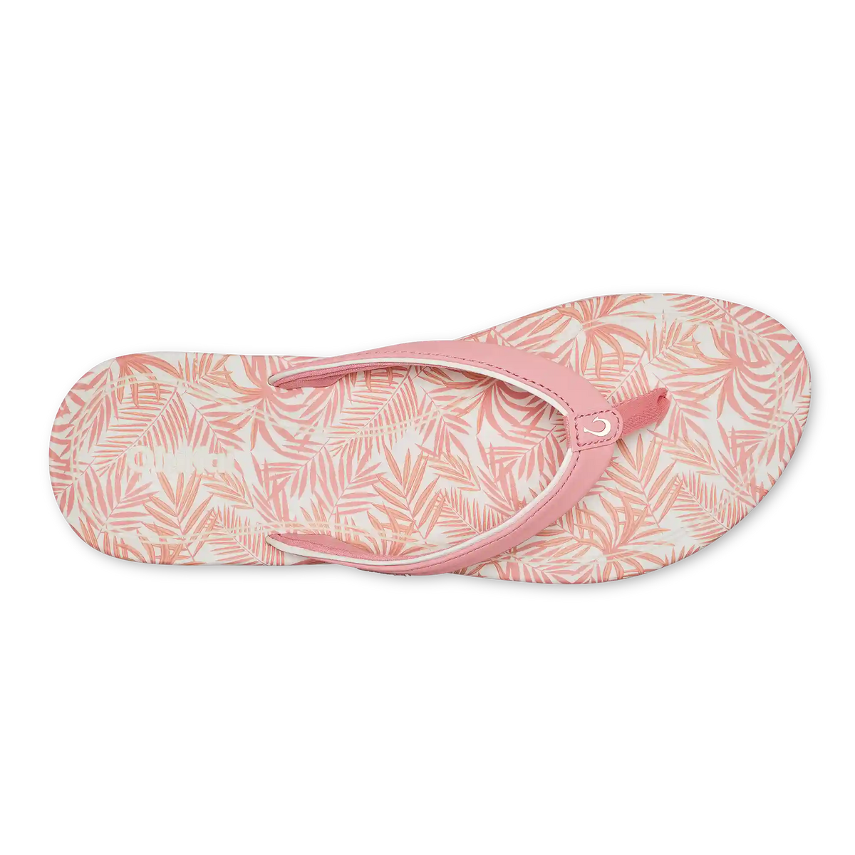 ‘Uiki  -  Light Cosmo / Palm